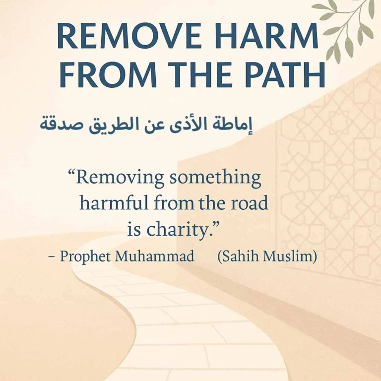 Remove Harm from the Path – A Daily Sunnah of Consideration