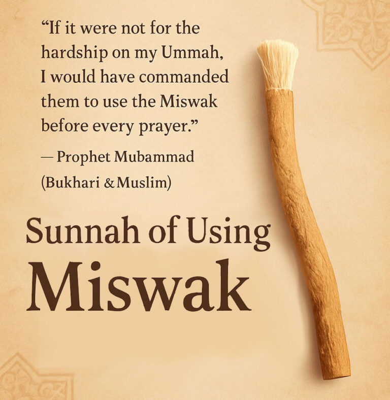 The Sunnah of Using Miswak – Purify Your Mouth