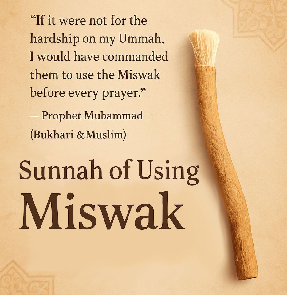 Sunnah of Miswak - Islamic Lifestyle